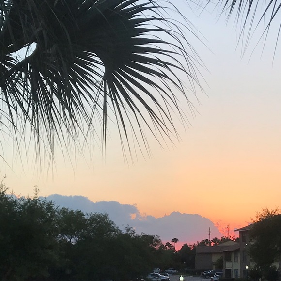 Meet your Posher, Payton - Picture 1 of 1